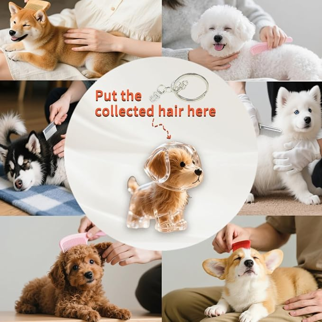 Pet Forever Keychain