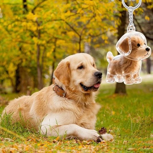 Pet Forever Keychain