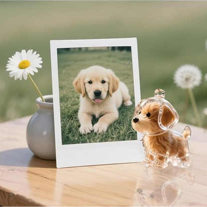 Pet Forever Keychain